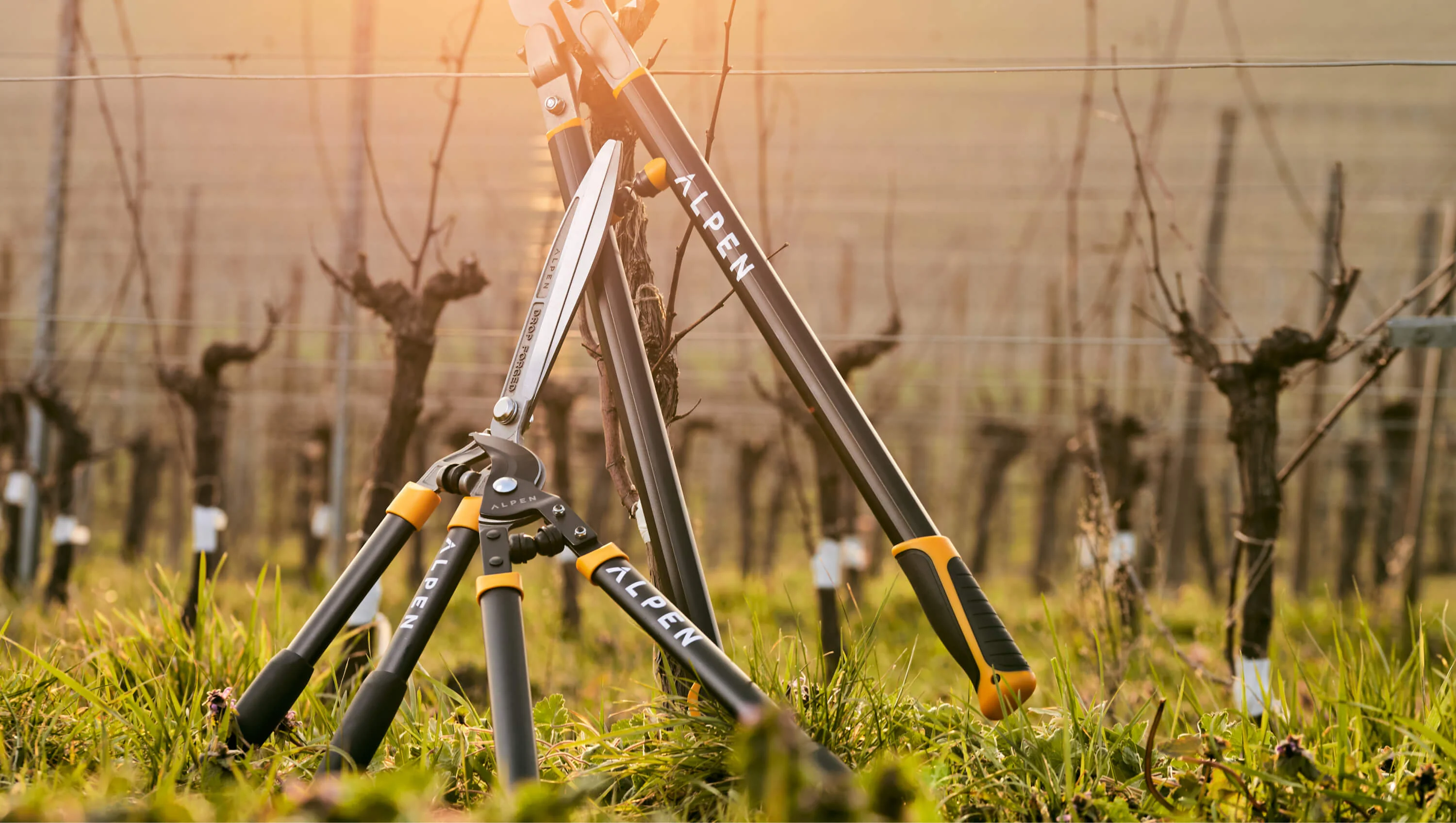 Master Your Garden with Alpen